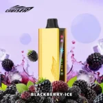 Cool Mint | JNR Cruiser Gold Disposable Vape